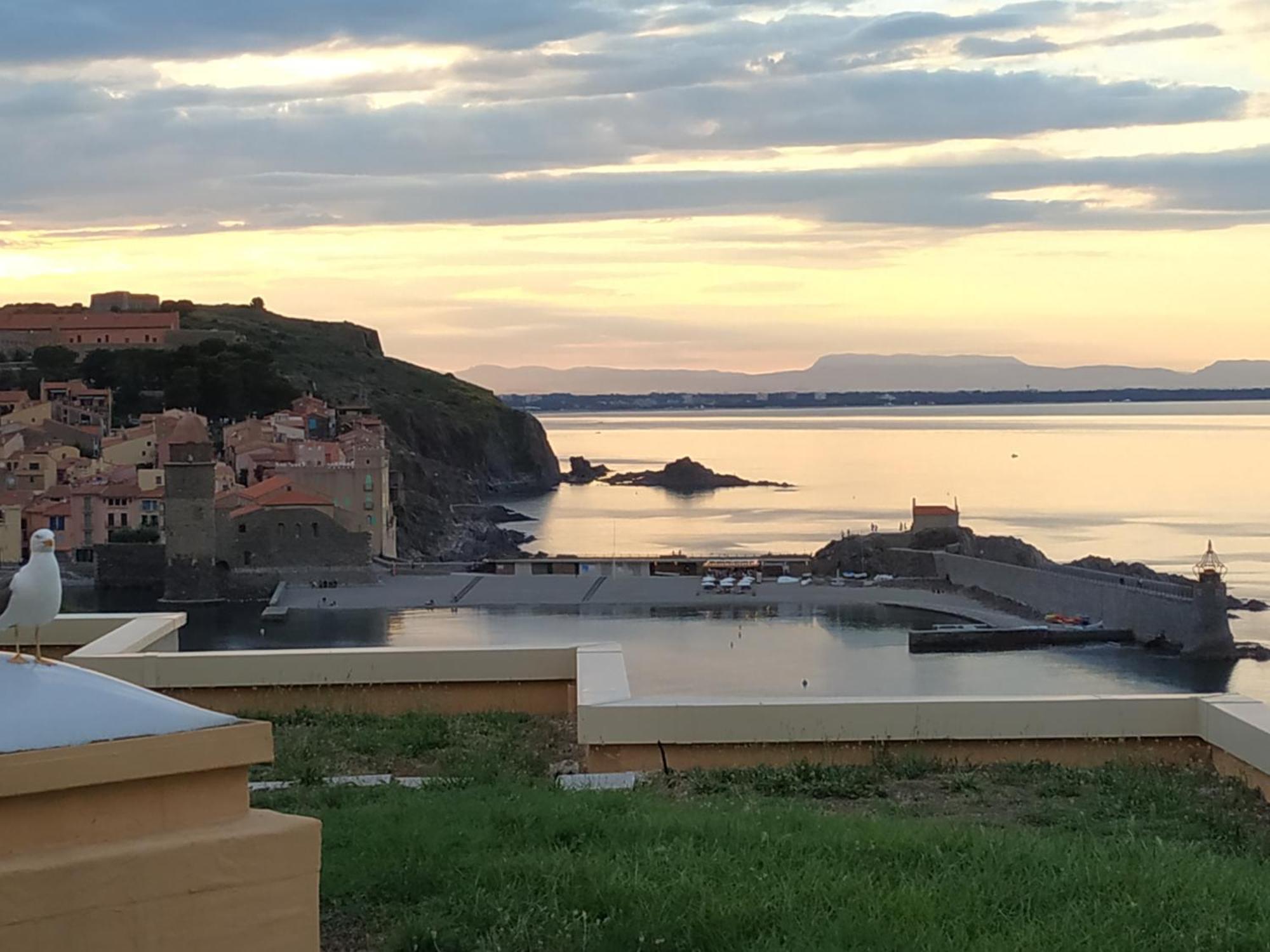 Location Vue Mer Du Samedi Au Samedi, Clim, Parking, Piscine, Plage Collioure Exteriör bild